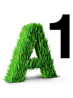 Der A1 Online-Shop Der A1 Online-Shop