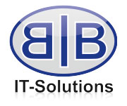 B&B IT Solutions OG